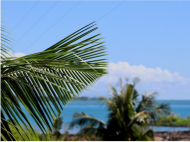 state image